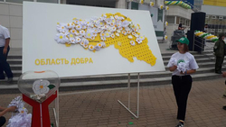 Борисовцы поддержали акцию «Белый цветок»