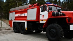 Борисовские пожарные ликвидировали возгорание в легковом автомобиле