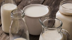 Более 560 тысяч тонн молока произведено в Белгородской области за девять месяцев текущего года