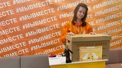 Волонтёры Борисовского района отправят военнослужащим СВО подарки к 9 Мая