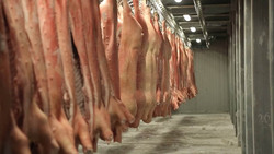 Пять белгородских агрохолдингов попали в рейтинг производителей свинины