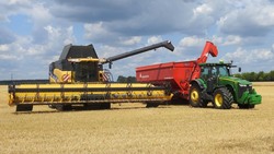 Борисовские аграрии намолотили более 53 тысяч тон зерна