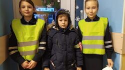 Проверка использования светоотражающих элементов прошла в Борисовских школах