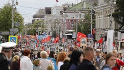 Правительство Белгородской области отменило шествие «Бессмертного полка» в Борисовском районе
