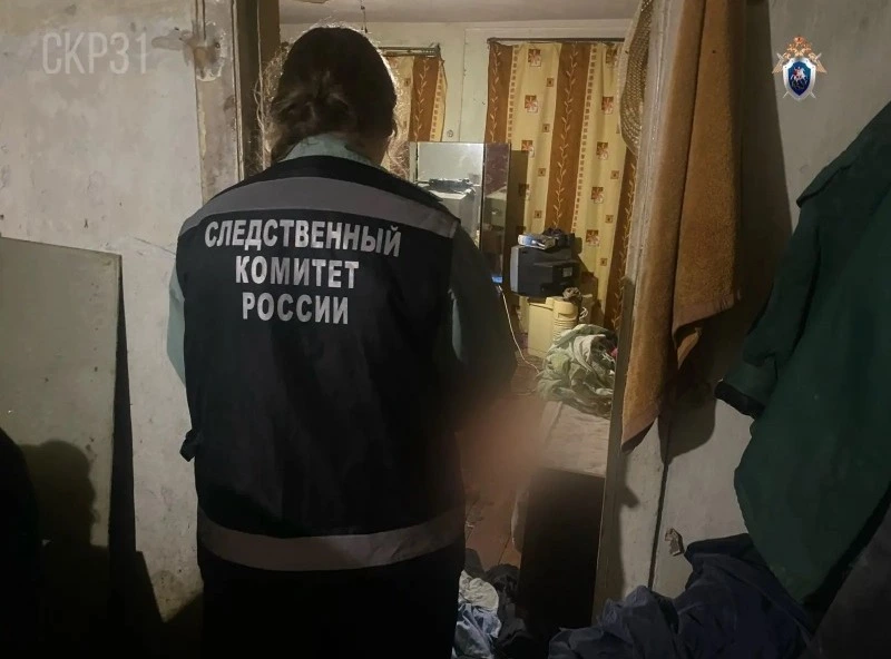 Жителю Борисовского округа  предъявлено обвинение в убийстве мужчины