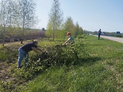 Берёзовцы провели обрезку молодых берёзок на въезде в село