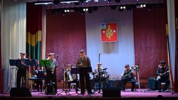 Концерт ВИА «Всё, что было» прошёл в Борисовке