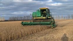 Аграрии Борисовского района практически завершили уборку технических культур и кукурузы на зерно 