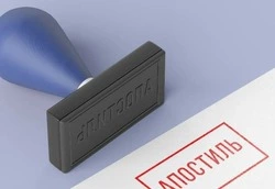 186 документов об образовании в Белгородской области получили апостиль в 2025 году