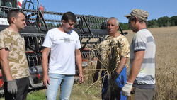 Борисовские земледельцы намолотили почти 29 тысяч тонн зерна нового урожая
