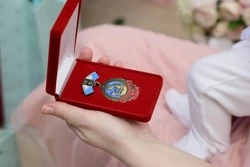 Гладков наградил матерей Борисовского муниципального  округа  почётными знаками «Материнская слава»