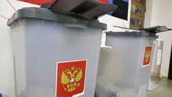 Как прошёл единый день голосования в Белгородской области