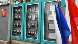 Портреты 24 лучших представителей своих профессий украсили Доску почёта в Борисовке