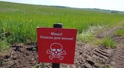 Совет безопасности округа напомнил, как вести себя при обнаружении подозрительных предметов