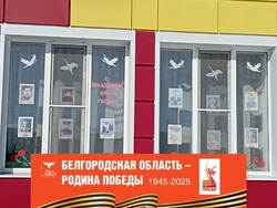 Борисовский район присоединился к Всероссийской акции «Окна Победы»