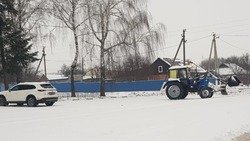 Главы сельских поселений Борисовского района отчитались об уборке территорий от снега 