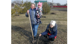 Родители из Берёзовки посадили деревья в рамках акции «Парк XXI века»