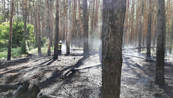 Сотрудники Белгородского гидрометцентра установили 3–4 класс пожарной опасности в регионе