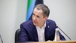 Вячеслав Гладков обсудил с вице-председателем правительства РФ восстановление предприятий региона 
