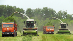 Земледельцы Борисовской зерновой компании завершили заготовку кормов