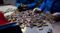 Акция по сбору батареек стартовала в Борисовском районе