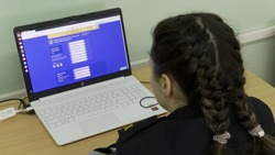 Борисовские школьники смогут проверить знания основ ПДД на онлайн-олимпиаде 