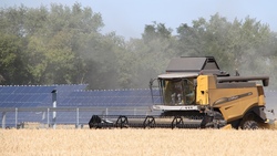 Растениеводы Борисовской зерновой компании намолотили 3 тысячи 20 тонн сои
