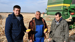 Земледельцы компании «Ракита» Борисовского района собрали более 130 ц/га подсолнечника