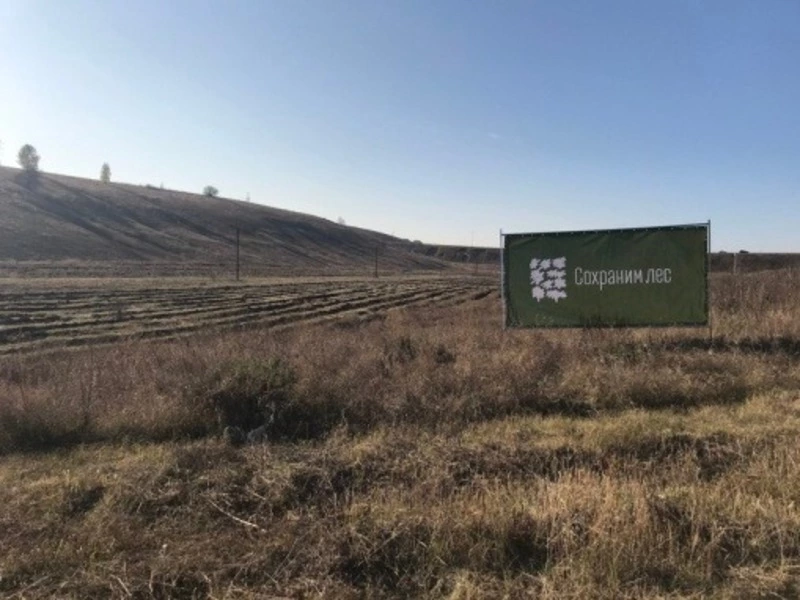 Белгородская область вошла в пятёрку лучших участников акции «Сохраним лес»