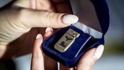 Борисовцы смогут подать заявки на участие в региональном конкурсе «Наша гордость»