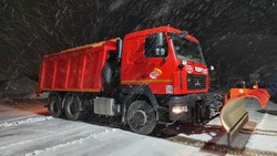 Борисовские коммунальщики с раннего утра начали устранять последствия снегопада