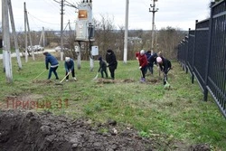 Белгородцы смогут принять участие в экологическом флешмобе