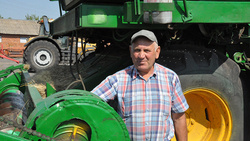 Урожайность зерновых в среднем по Борисовскому району составила 58,7 центнера с гектара