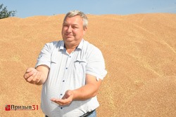 Земледельцы Борисовской зерновой компании убрали ранние зерновые культуры на 80% площадей