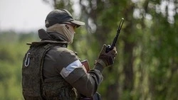 Вячеслав Гладков рассказал о поддержке семей  военнослужащих