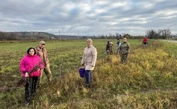Мероприятия по озеленению и наведению санитарного порядка прошли в Борисовском районе