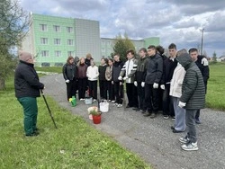 Школьники Борисовской СОШ №2 заложили новую сосновую аллею