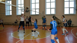 Зональные соревнования по волейболу прошли в Борисовке