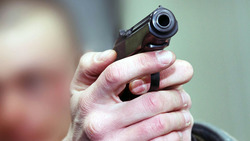 Прокуратура выявила нарушения законодательства об оружии в заповеднике «Белогорье»