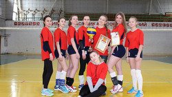 Муниципальные соревнования школьной любительской лиги по волейболу завершились в Борисовке