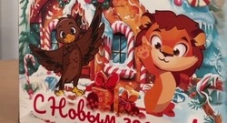 Вячеслав Гладков: «Почти 200 тысяч подарков раздали белгородским детям»