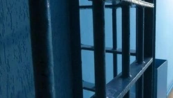 Суд вынес приговор отцу и сыну из Борисовского района за попытку незаконного сбыта взрывчатых вещест