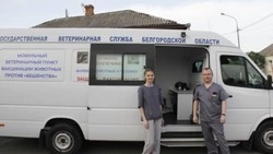 Более 231 тысяч животных привили от бешенства в Белгородской области