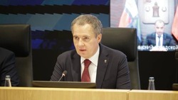 Белгородские аграрии получили субсидии на поддержку производства картофеля и овощей открытого грунта
