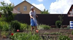 Поливной сезон стартовал в Белгородской области 1 мая