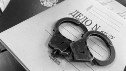 Белгородец приговорён к 17 годам колонии за госизмену и терроризм