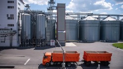 Новоборисовское ХПП произвело более 150 тыс. тонн комбикорма за восемь месяцев