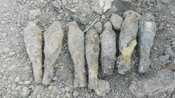Рыбак обнаружил боеприпас времён ВОВ в Борисовском районе на берегу реки Гостянки
