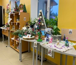Природоохранная акция  #ЁлочкаЖиви продолжается в Борисовском лесничестве 