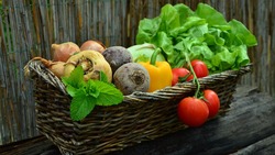 Белгородские власти увеличат производство овощей в три раза